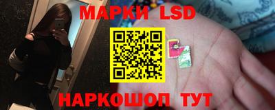 прущие грибы Шелехов