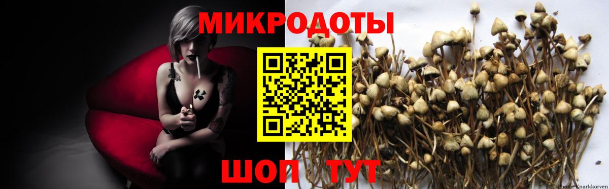Егорьевск  Галлюциногенные грибы Cubensis  Галлюциногенные грибы Psilocybe  Вход с VPN 